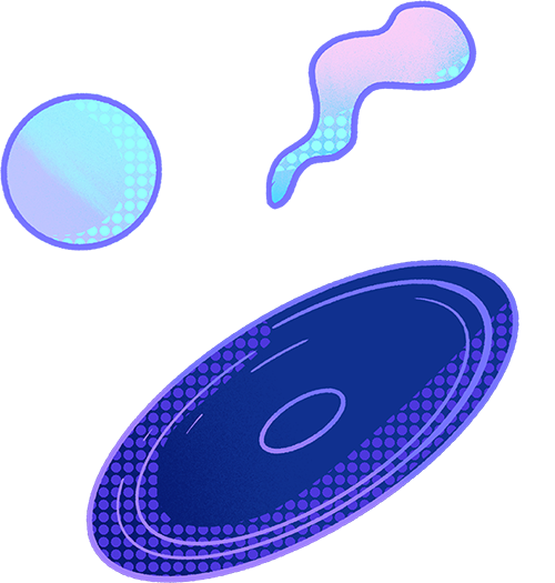 新国职证书!!各大平台认证加分最高(图1) 新国职证书!!各大平台认证加分最高(图1)